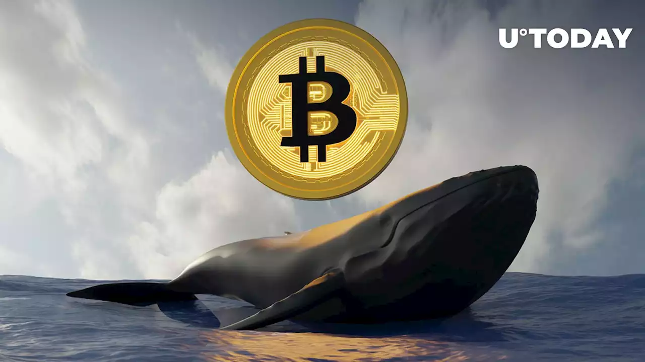 Satoshi-Era Bitcoin Whale Awakens After Years of Silence