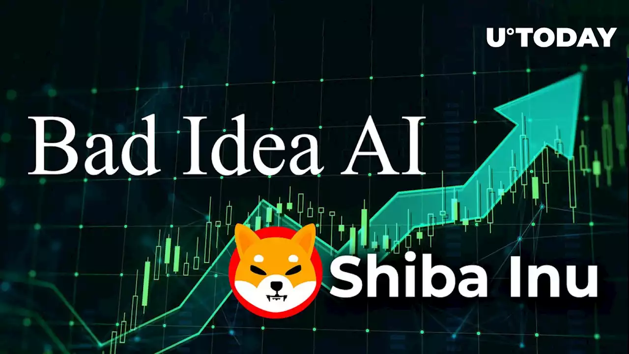 Shiba Inu Partner BAD Token Massive Whale in Spotlight as Price Jumps 500%