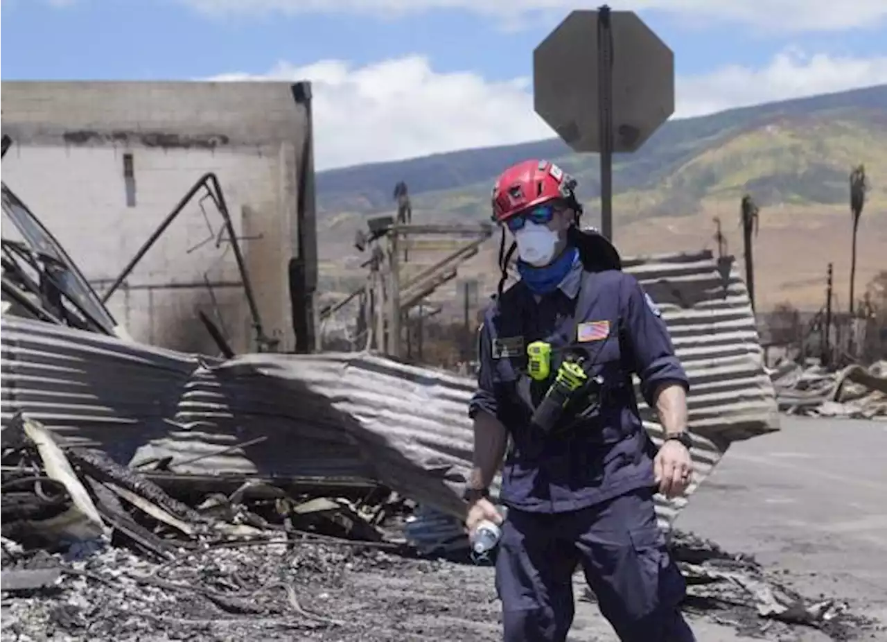 Intensifican búsqueda y sube a 96 cifra de muertos tras incendio en Maui, Hawái