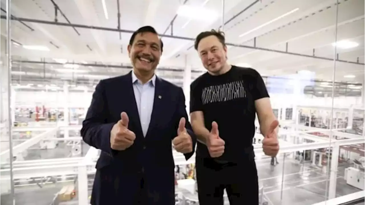 Tesla Masuk Malaysia, Menko Luhut Sebut Cuma Buat Jualan