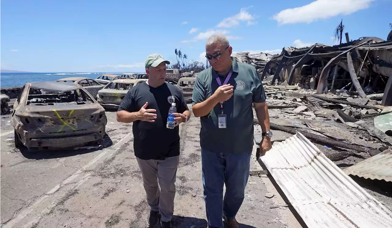 Death toll nears 100 in Maui wildfires as crews sift through ashes