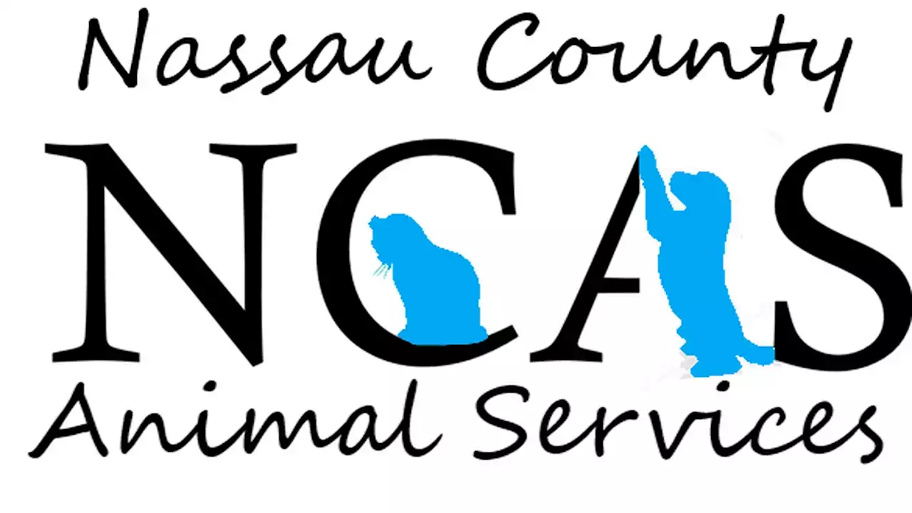 Nassau County Animal Services introduces ‘Adoption Express’ service