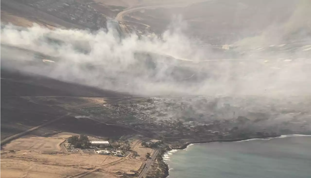 Devastador: ya son 96 los muertos por los incendios en Maui, en Hawái