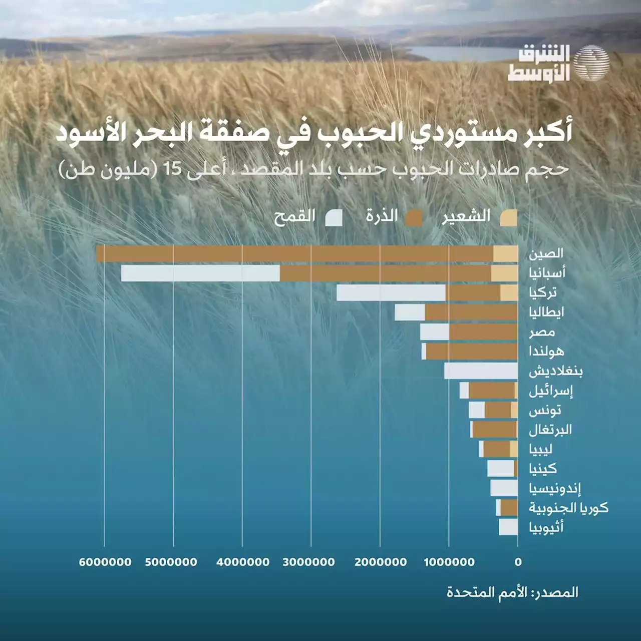 القمح على مائدة بوتين وإردوغان... والعالم يترقب