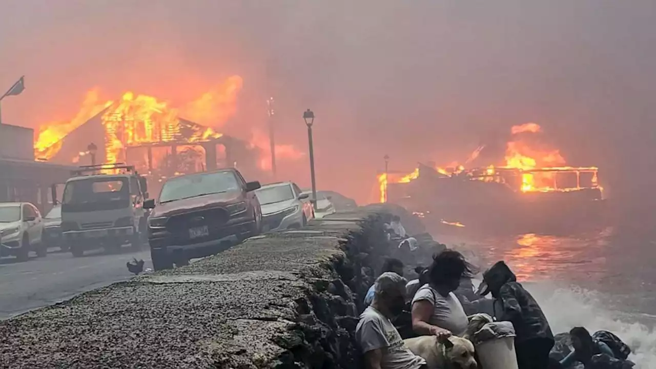 Maui wildfire survivor recounts harrowing experience hiding behind beach drywall