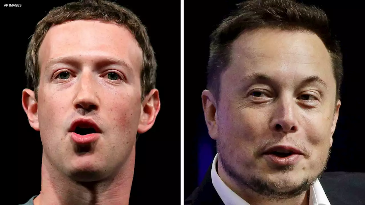 Zuckerberg says Musk not taking fight challenge seriously, match unlikely to happen