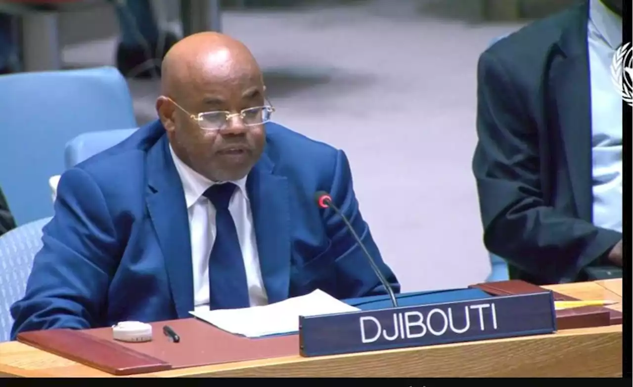 Djibouti's Strategic Role in Regional Peacebuilding