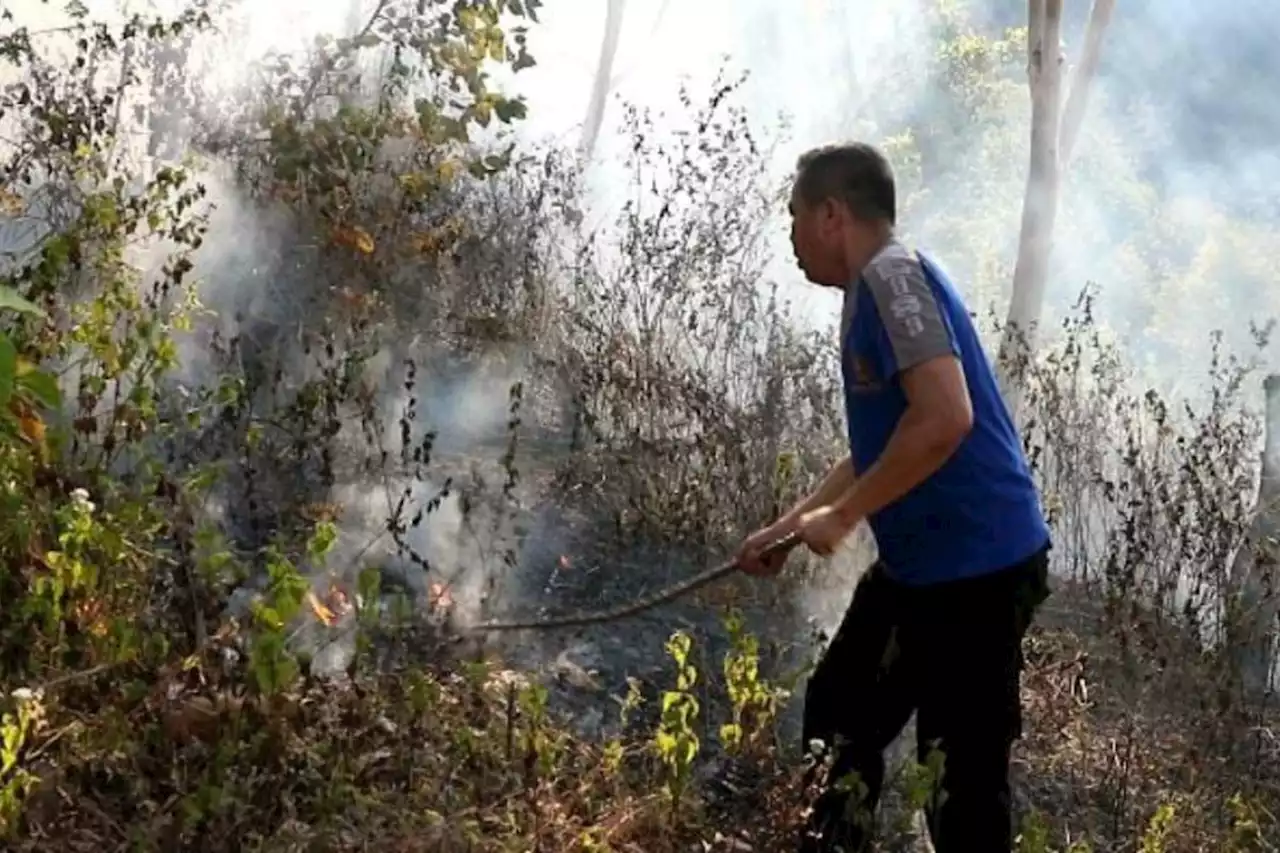 Petugas gabungan padamkan kebakaran hutan di Ponorogo