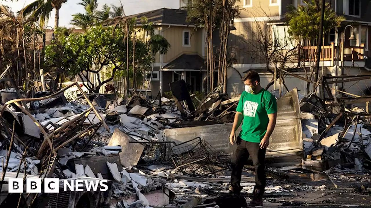 Hawaii wildfires: Crews may find 10 to 20 wildfire victims a day