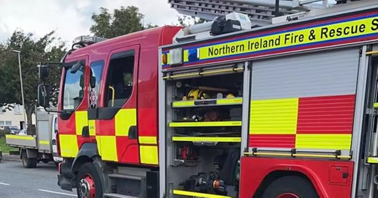 Quick-thinking neighbours flag down PSNI to help rescue pets from blaze