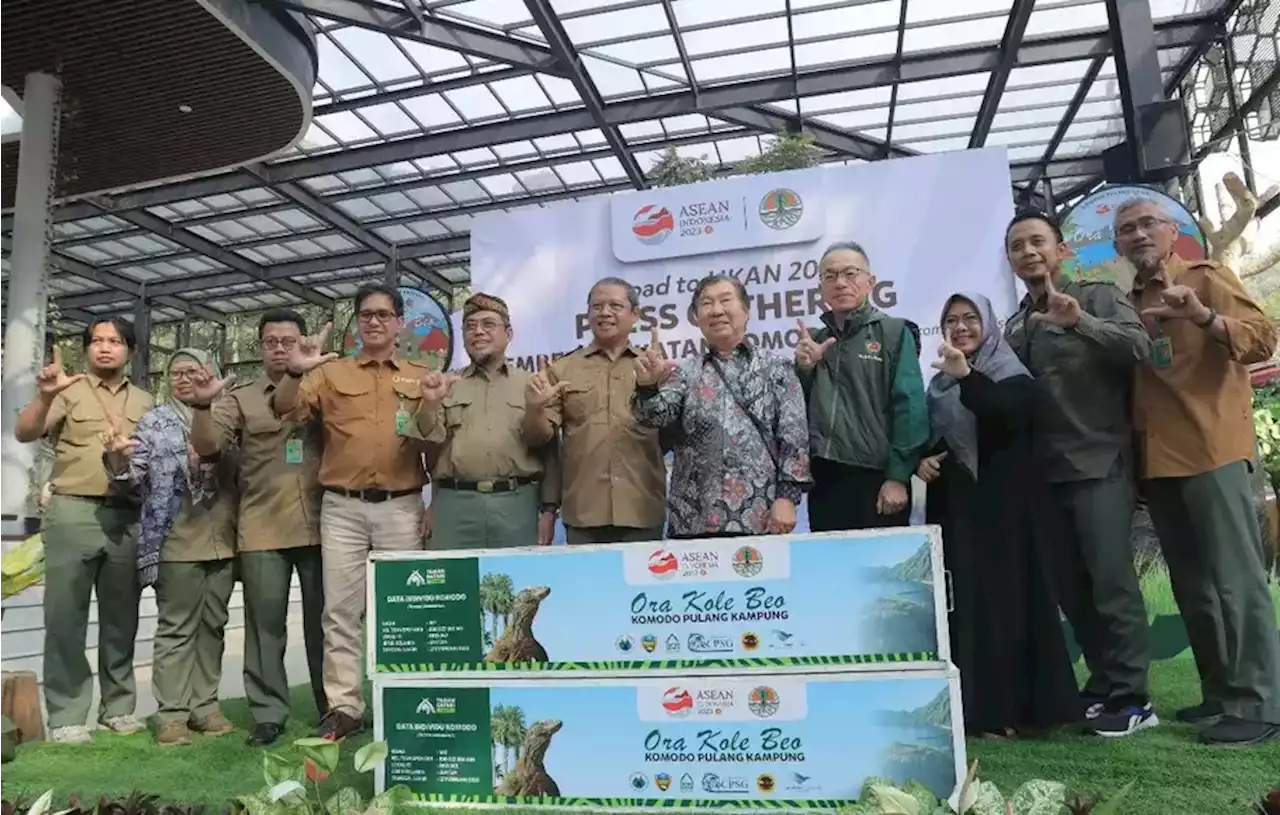 Taman Safari Bogor, Smelting dan KLHK Kirim 6 Ekor Komodo ke Cagar Alam Wae Wuul NTT