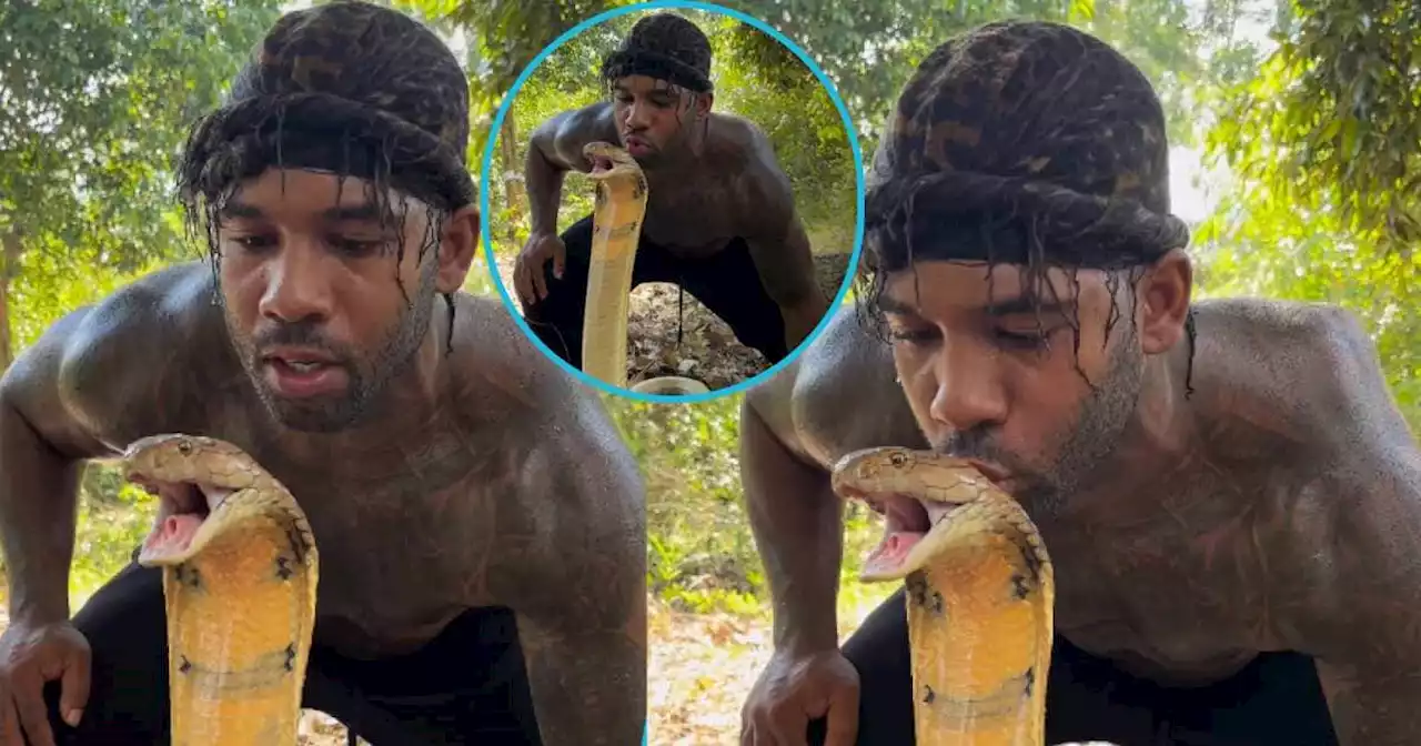 'You play too much': Netizens warn man who smooches lethal cobra