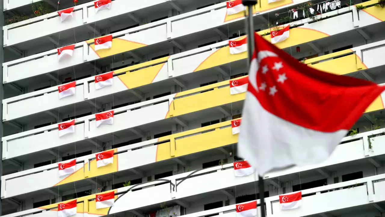 Commentary: Will changes to national flag rules encourage more Singaporeans to display it?