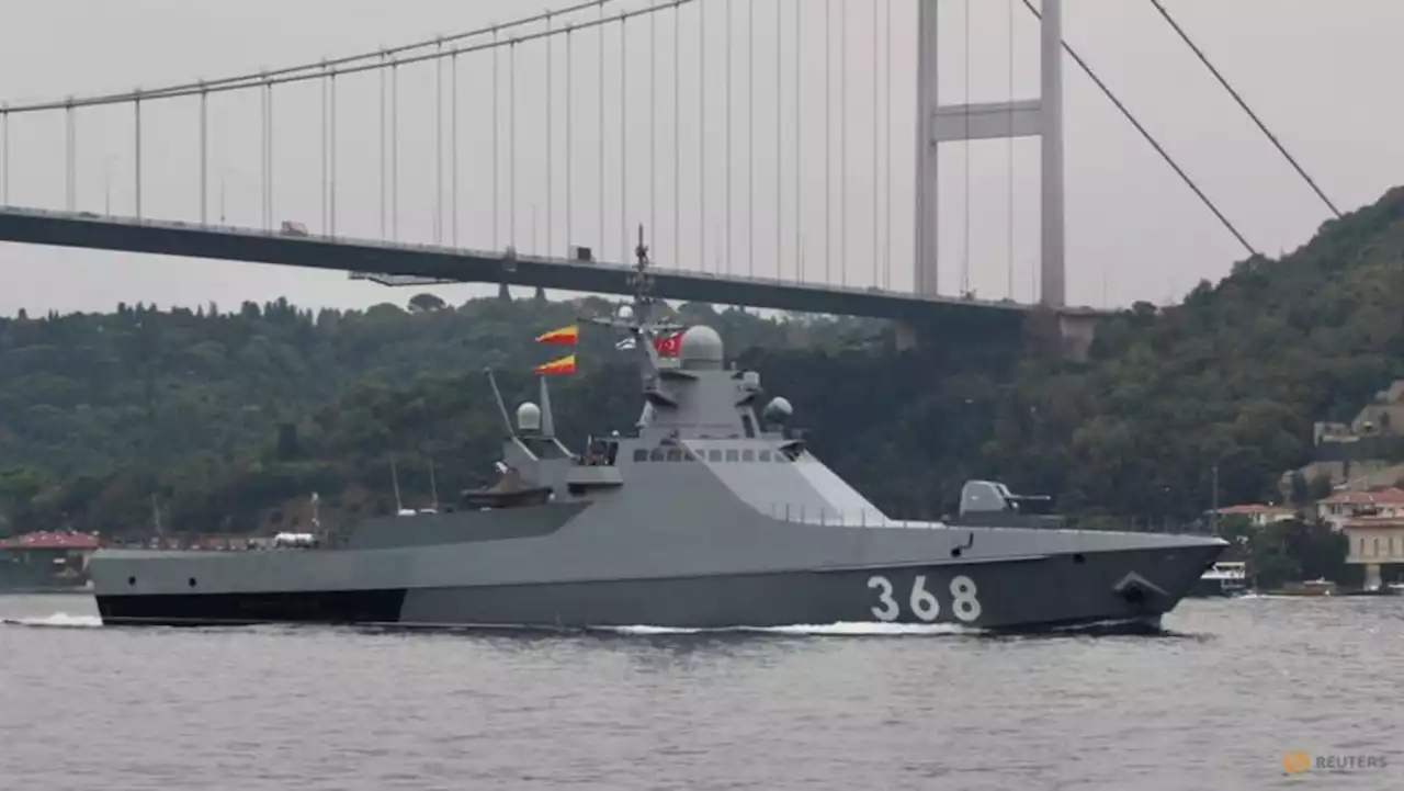 Ships backed up in Black Sea lanes as Russia warning shots raise tensions