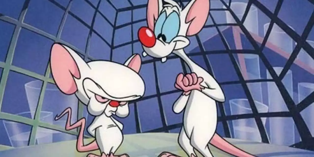 Now Is the Perfect Time for a 'Pinky and the Brain' Movie