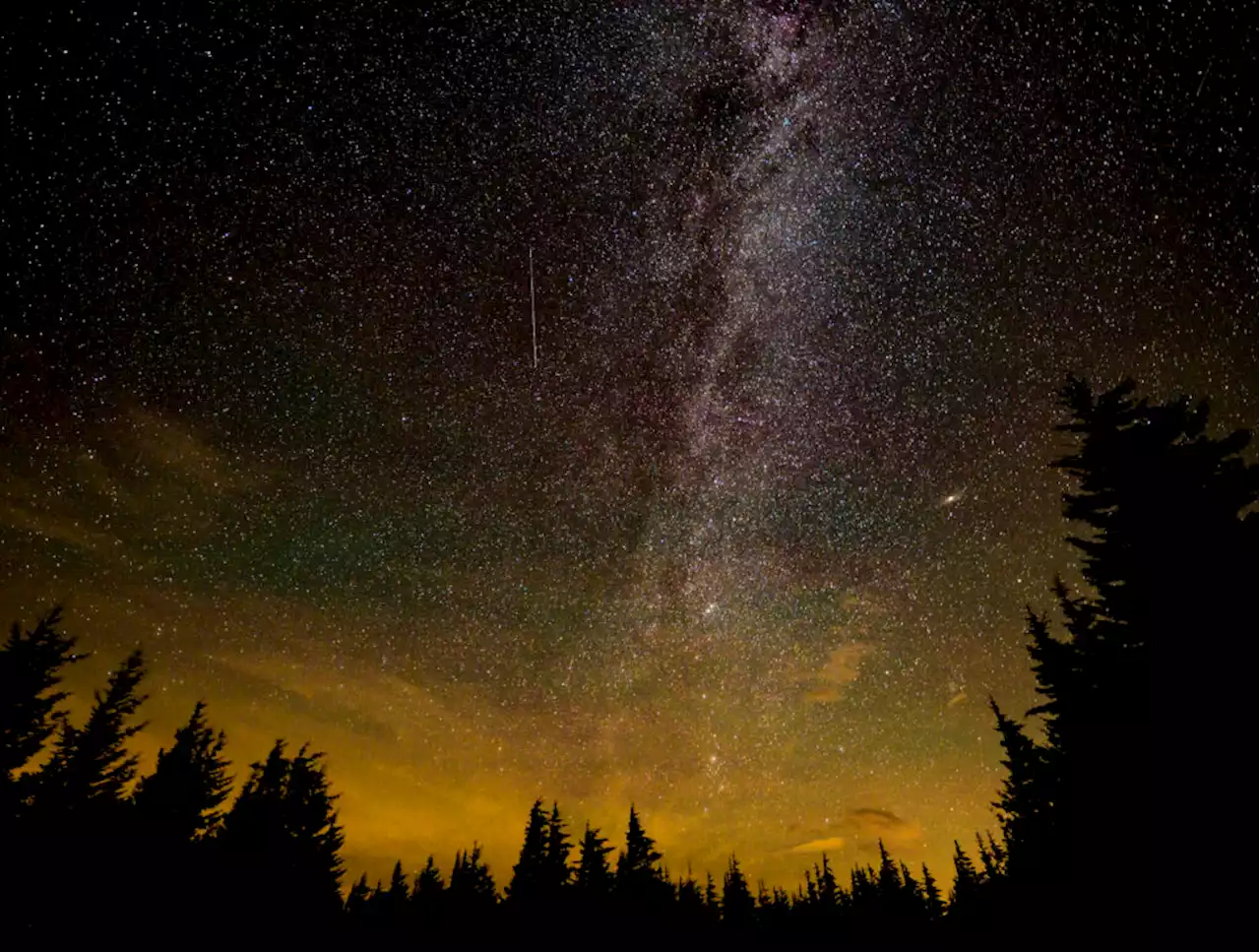 Just Beyond Northern Virginia's Sprawl, I Got To See The Perseid Meteor Shower