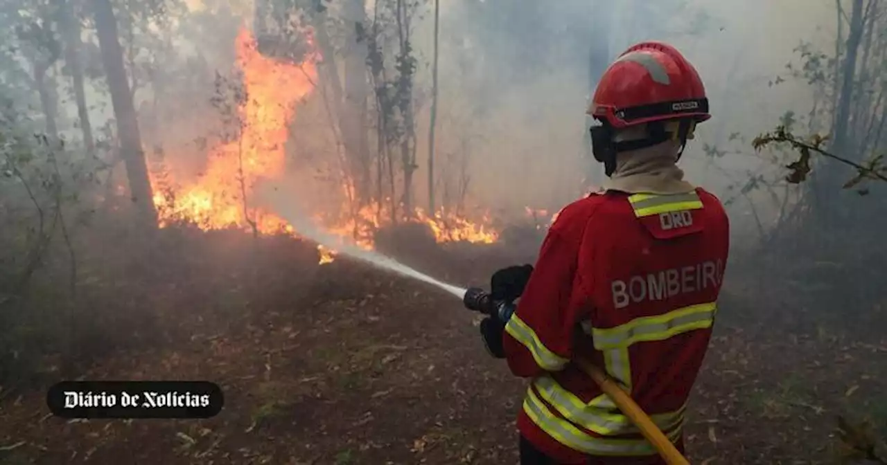 Incêndio de Carrazeda de Ansiães começa a ceder aos meios o terreno