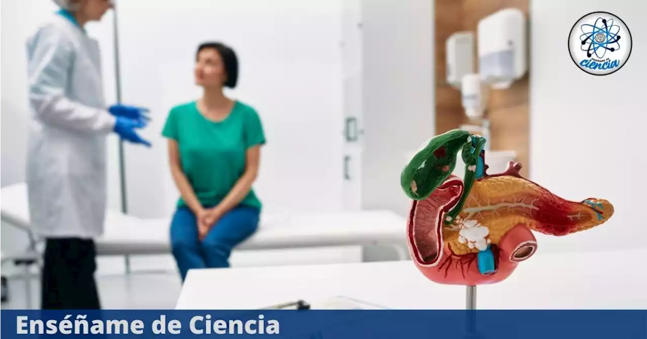 Científicos descubren a la proteína asesina que podría estar causando cáncer de páncreas