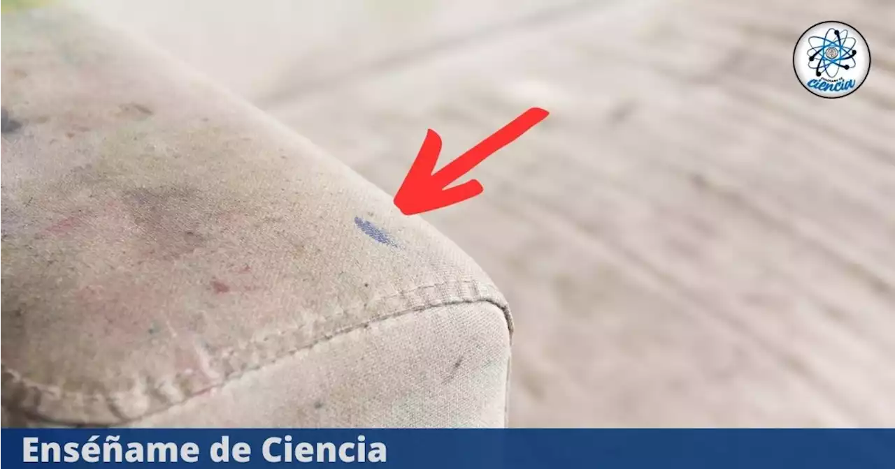 El mejor truco para eliminar las manchas en los sillones de tela sin maltratarlos