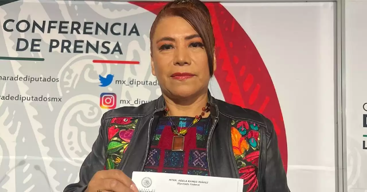 Diputada de Morena se suma al rechazo de los libros de texto gratuitos