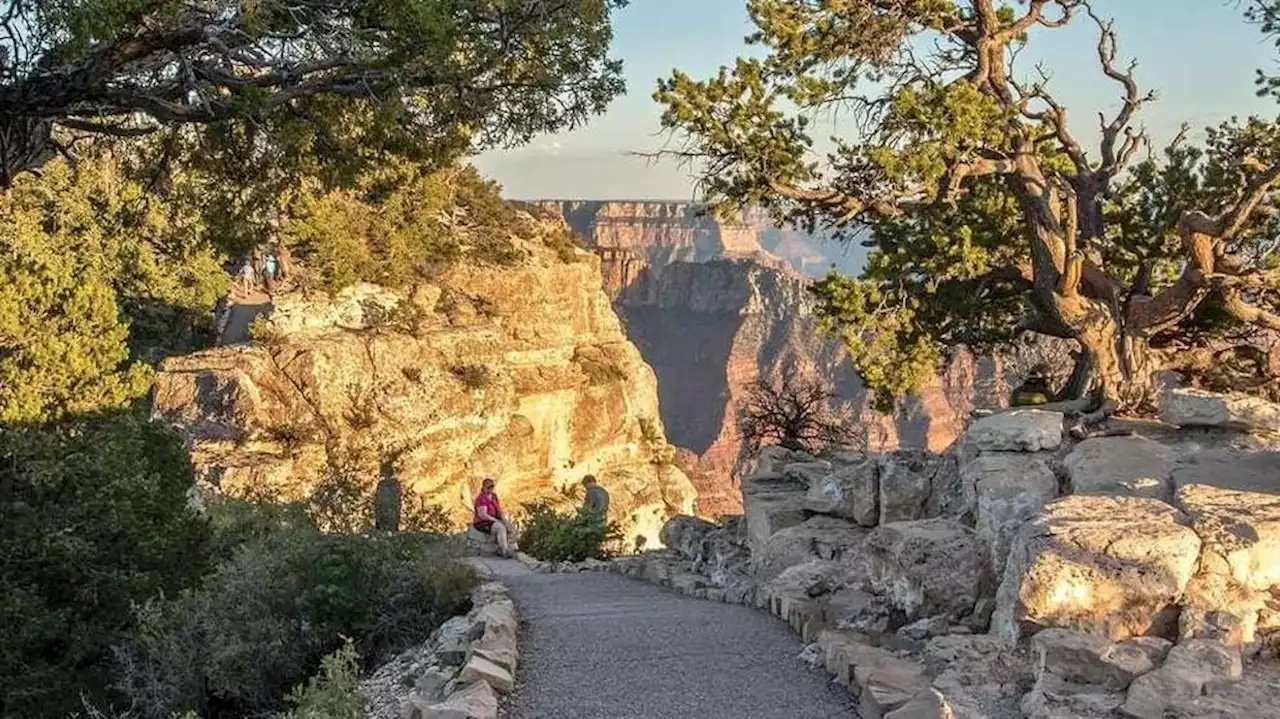 13-year-old tourist survives nearly 100-foot fall at Grand Canyon