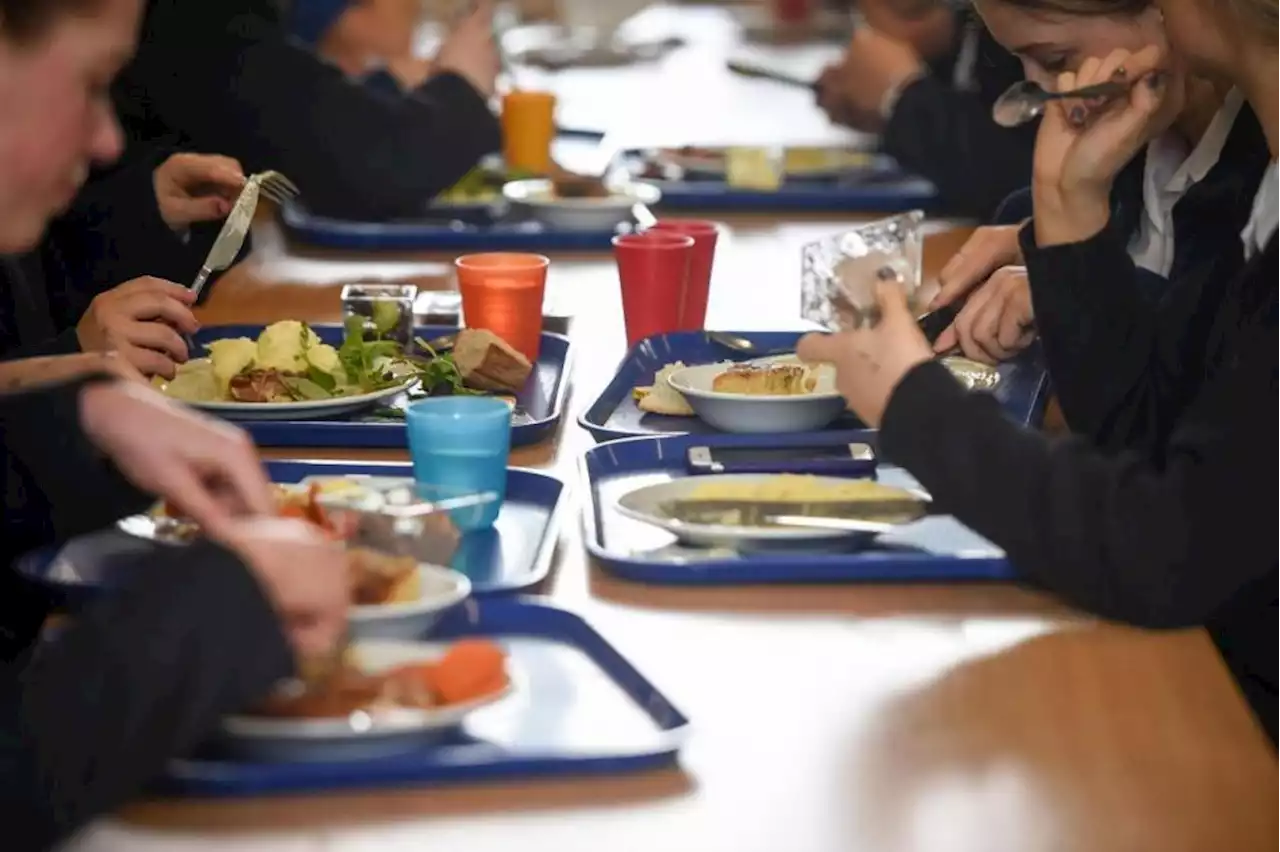 Scottish Government cuts funding for Glasgow's holiday food programme by £1m