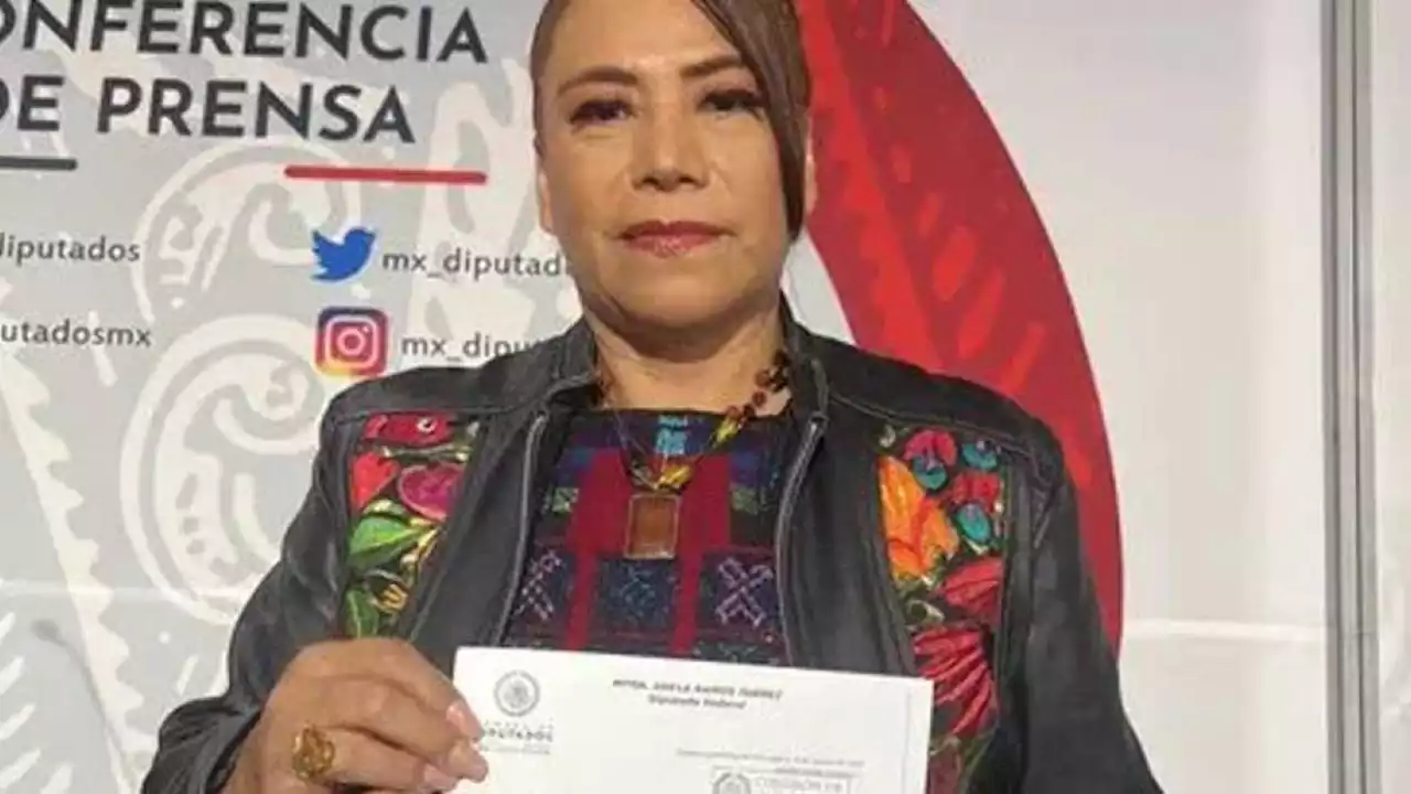 Diputada de Morena, Adela Ramos, pide frenar distribución de libros de texto