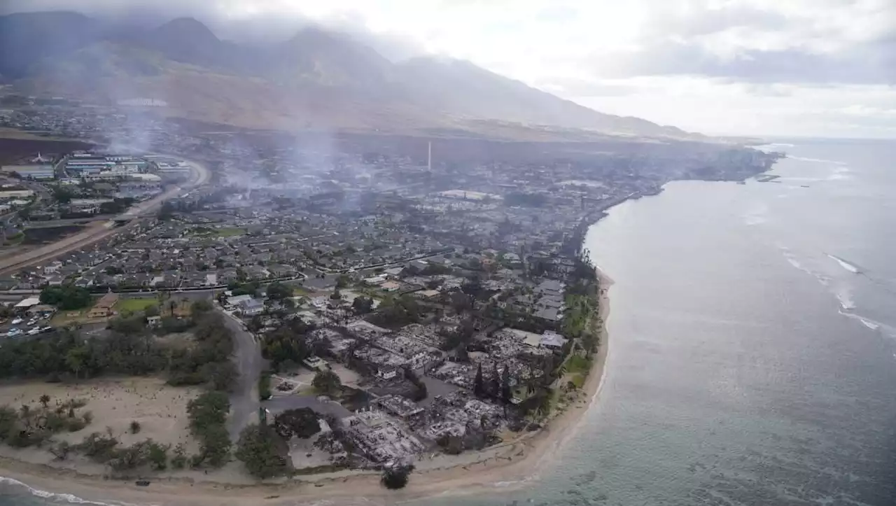 Incendios en Hawái: Unos 200 mexicanos han solicitado ayuda a la SRE