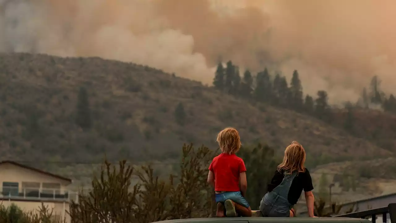 How wildfire smoke can permanently damage your brain and body