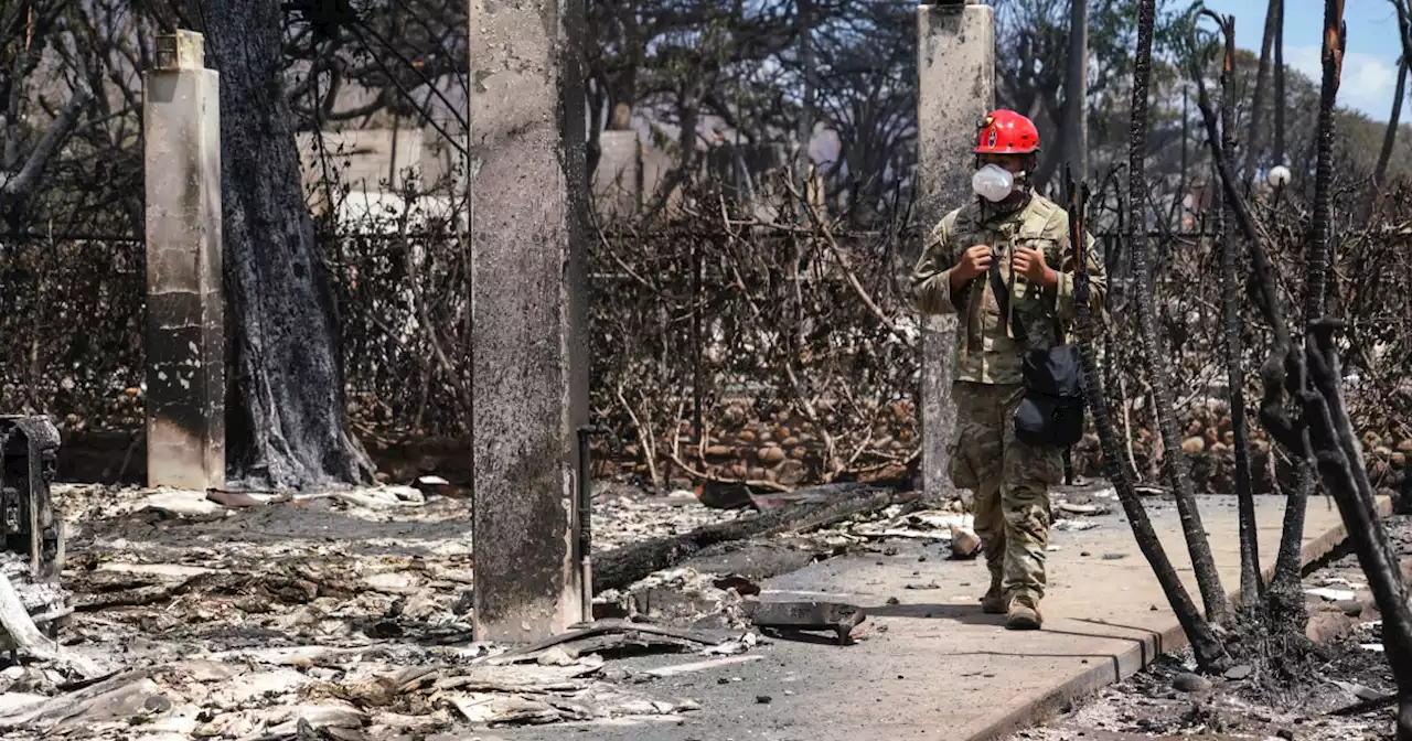 Looters and land speculators move in after deadly Hawaii fires