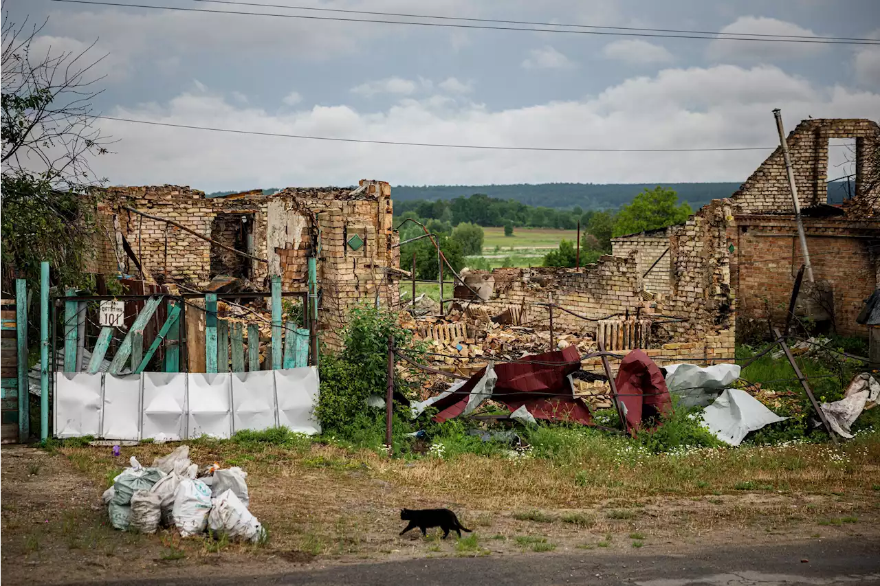 Russian troops shoot, stab each other after fight breaks out: Ukraine group