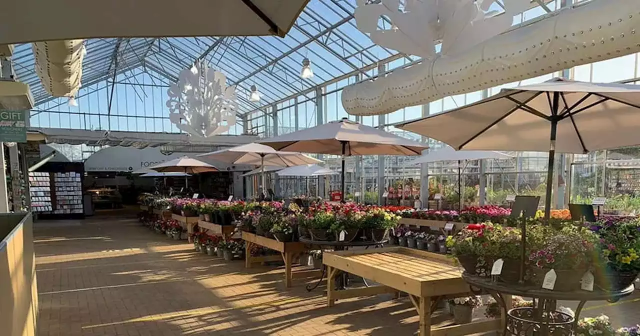 Choose Northamptonshire's best garden centre from your shortlist