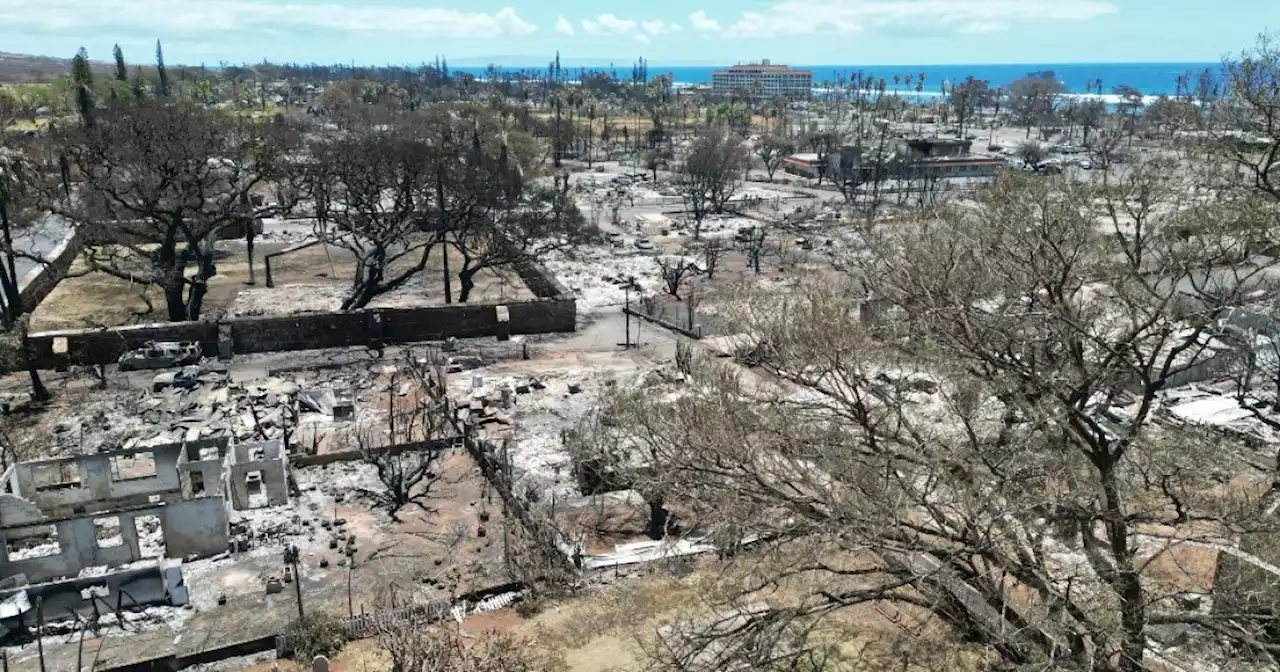 Ante incendios en Hawái, gobierno de Joe Biden anuncia más ayudas a los damnificados