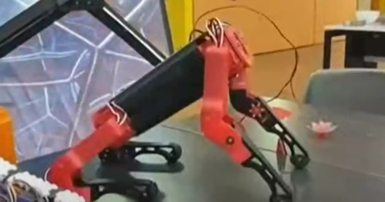 Estudiantes en Colombia usaron IA para crear robot que ayudaría a personas con discapacidad