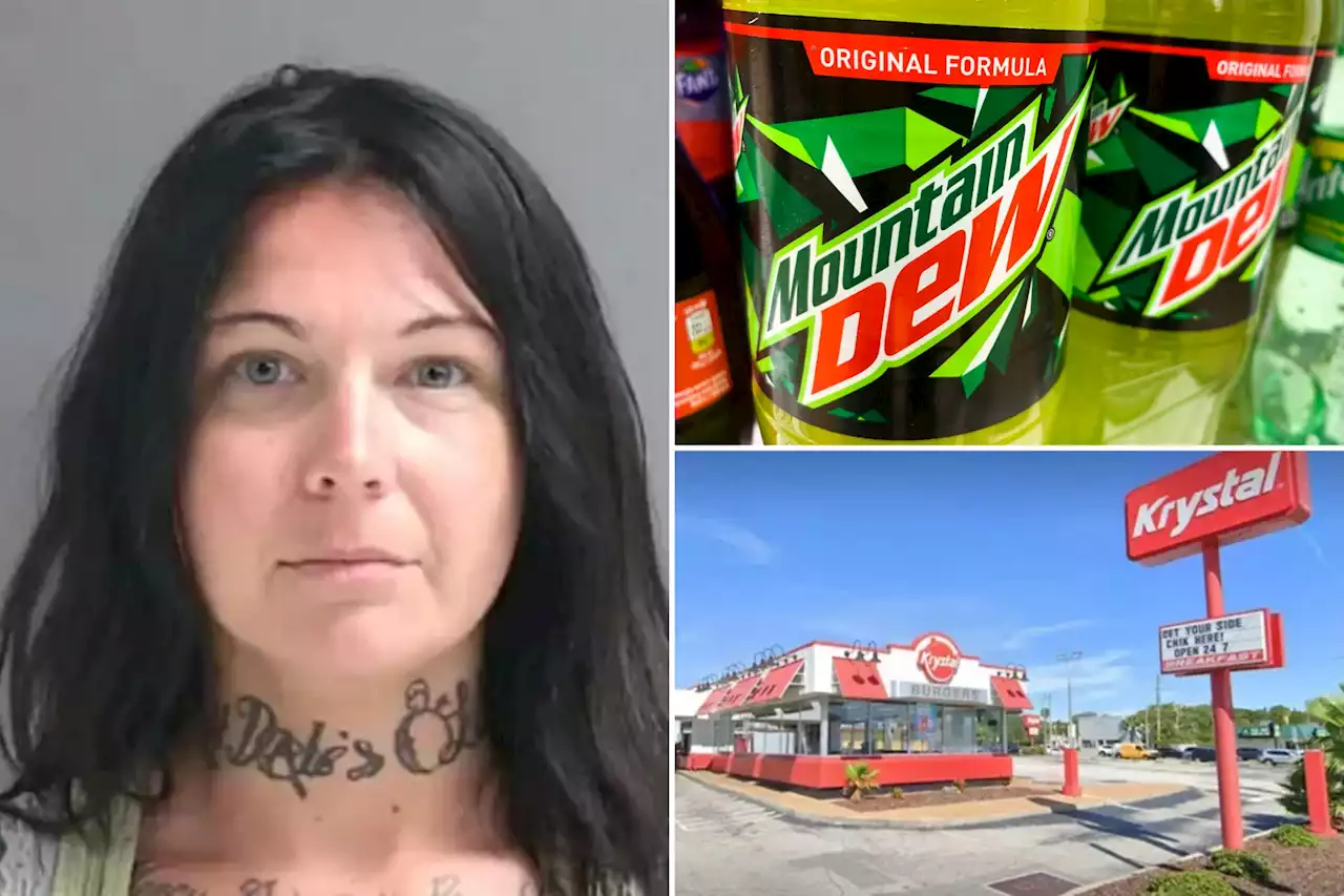 Florida woman doused herself in Diet Mountain Dew to erase DNA after killing roommate, 79: cops