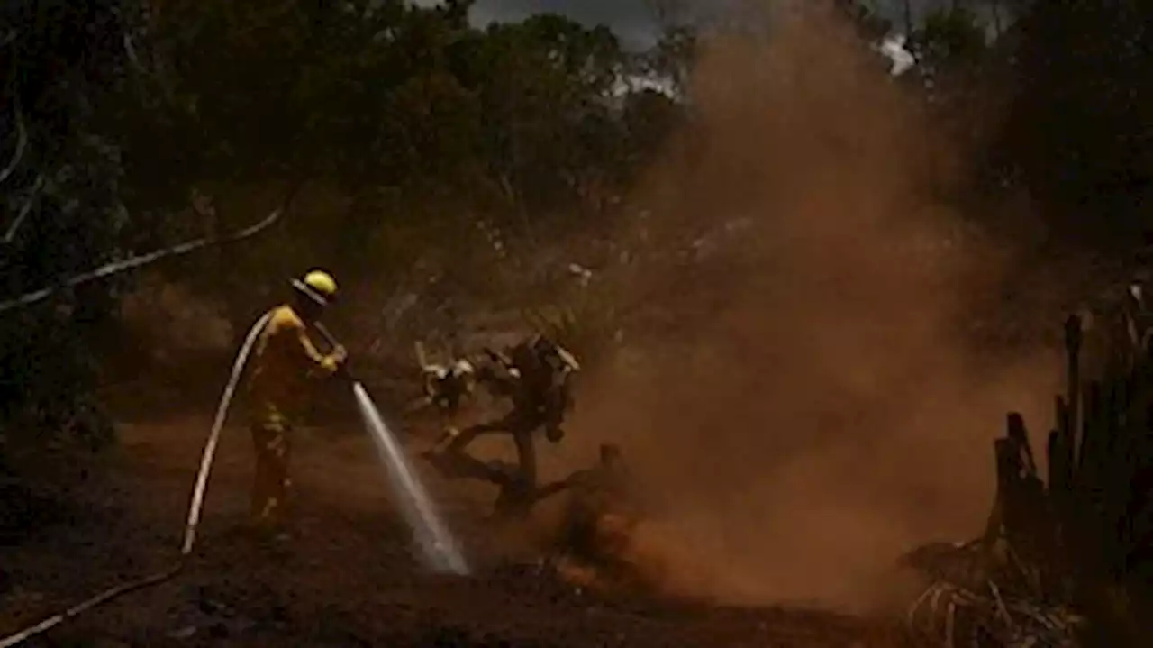 Sobe para 96 o número de mortes por incêndio no Havaí