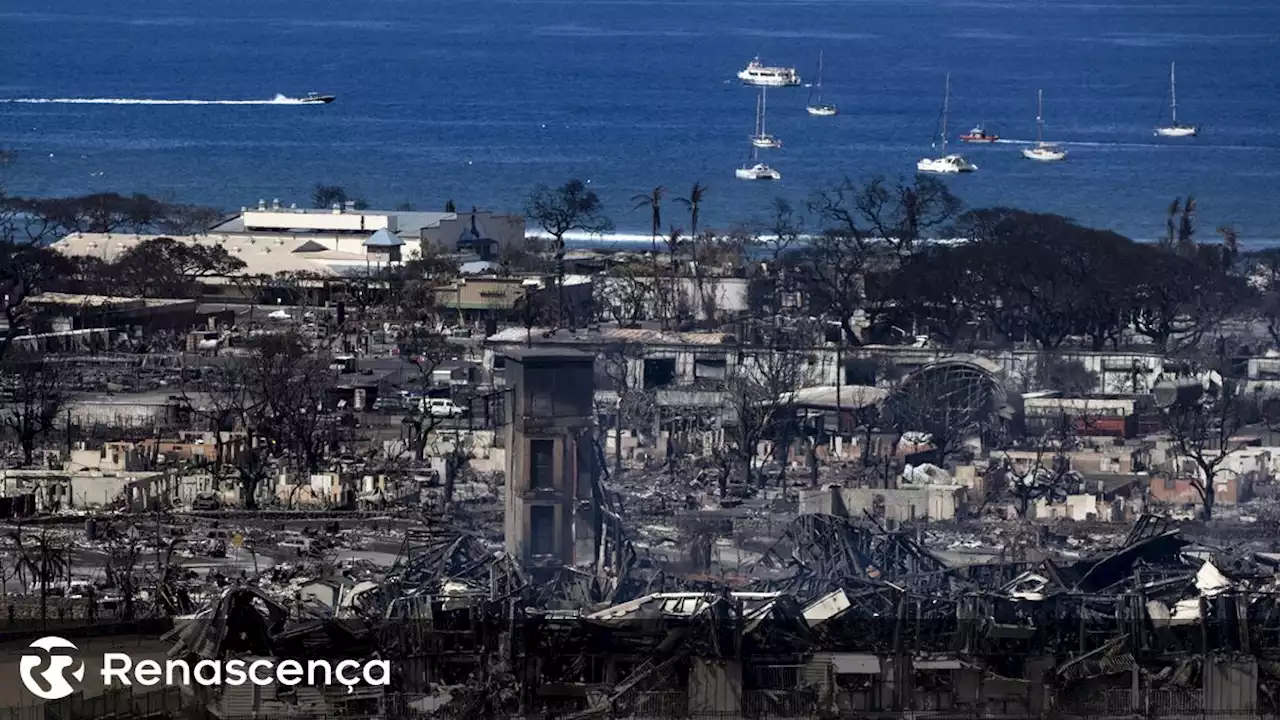 Incêndios no Havai. Número de mortos sobe para 99