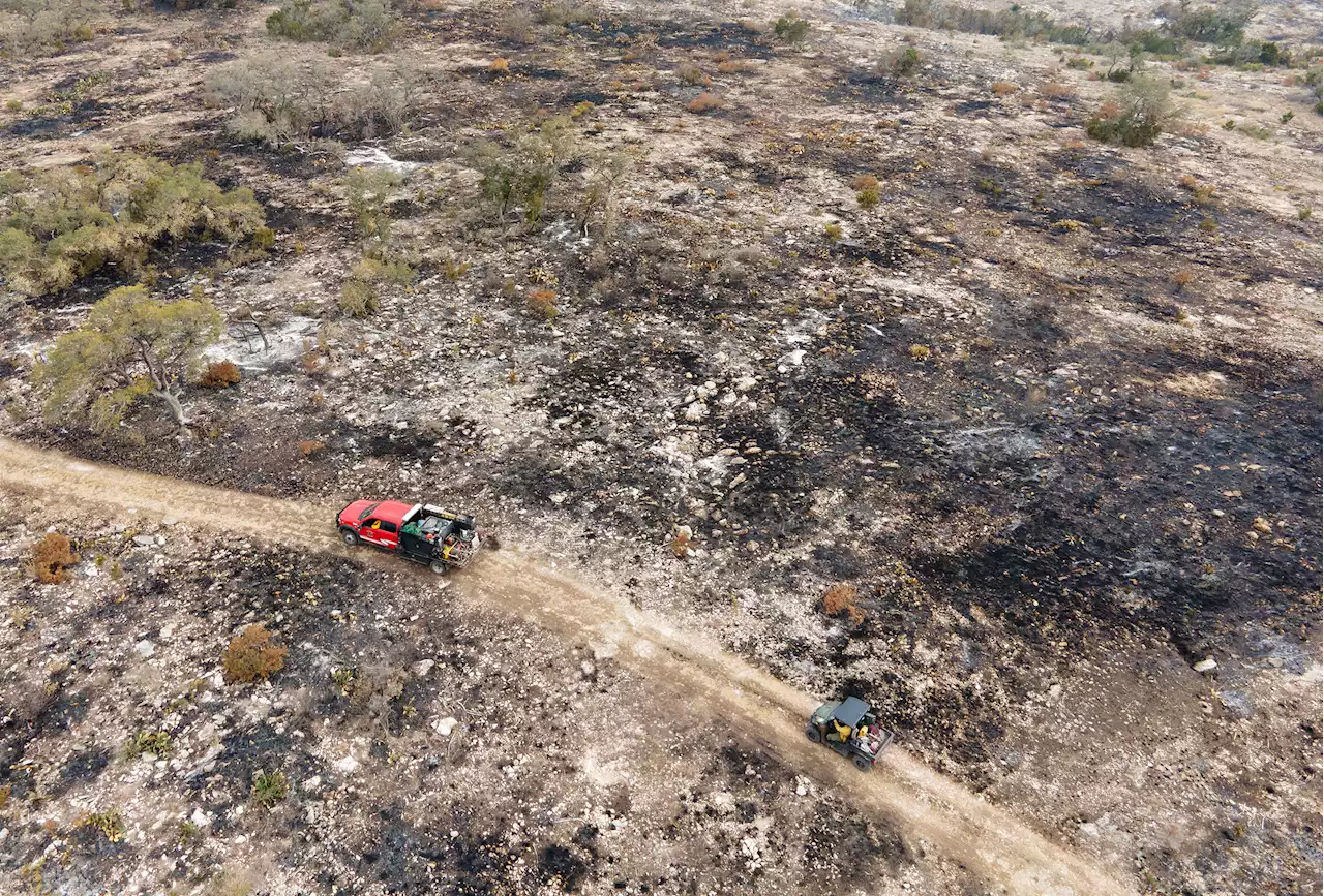 Gov. Greg Abbott declares wildfire disaster for most of Texas