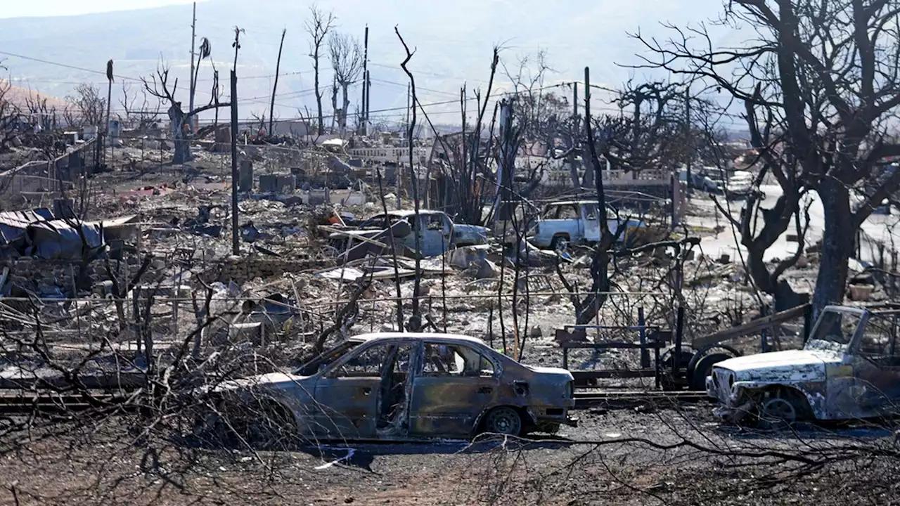 Hawaii wildfires: Governor warns dozens more could be dead