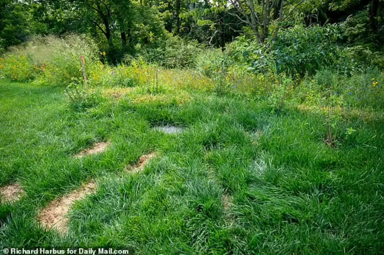 Are These Real 2023 Photos of Ivana Trump's Burial Site at Trump Golf Course?