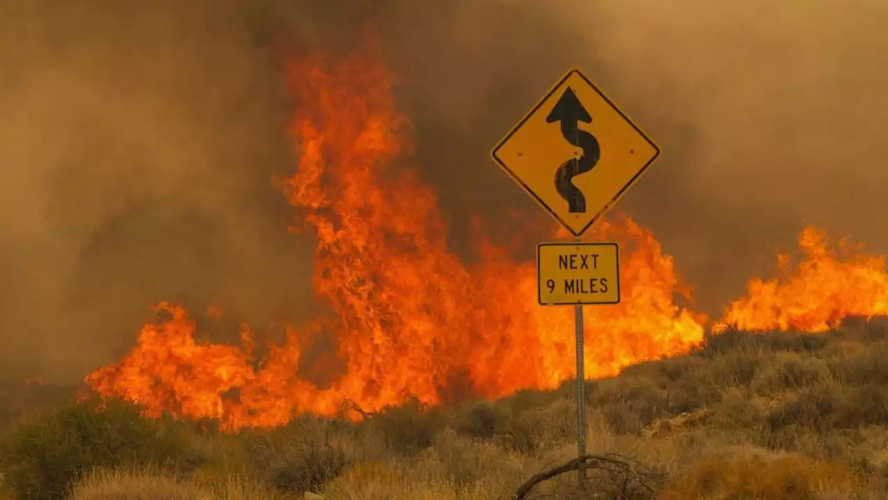 Firenadoes and firestorms: How fires can create weather