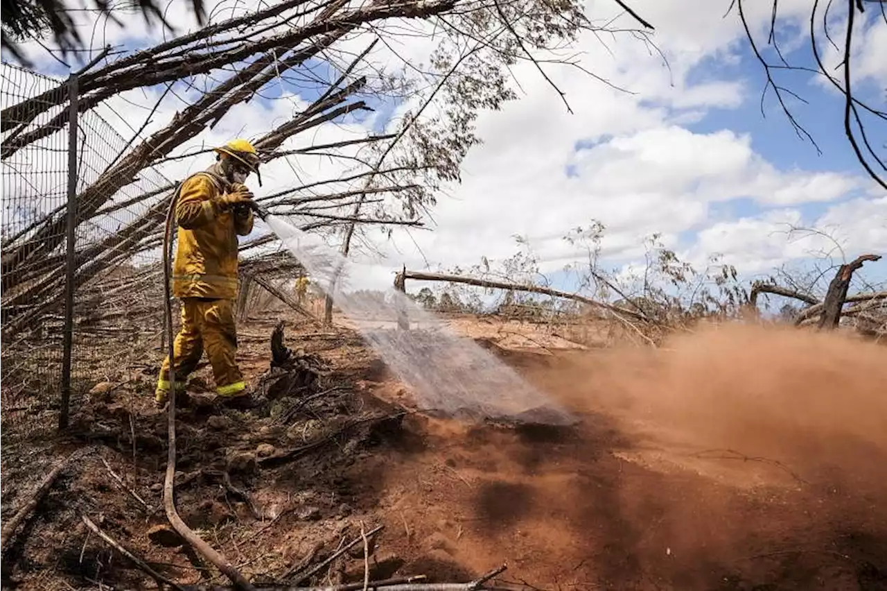 What to know about Maui's wildfires, Hawaii's deadliest disaster