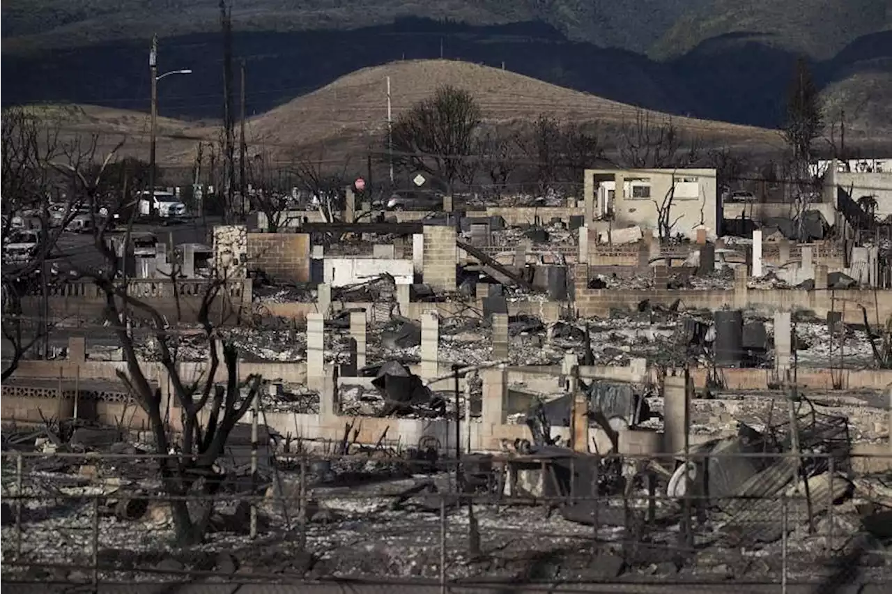 Maui search teams sift through ashes as hundreds await fate of loved ones