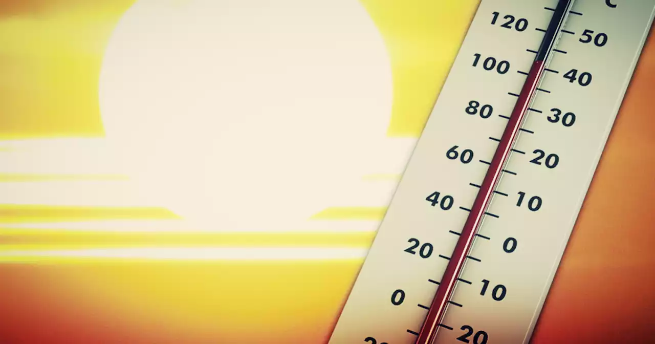 30 new heat deaths confirmed, bringing county total in 2023 to 89