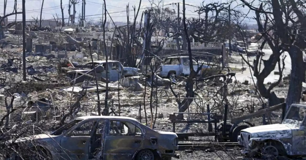 99 dead from Maui wildfires; officials struggling to identify remains