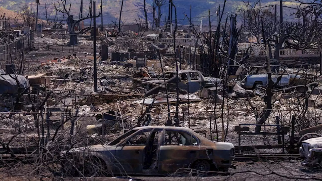 Powerlines are being blamed for the Maui fires. If true, it's not without precedent