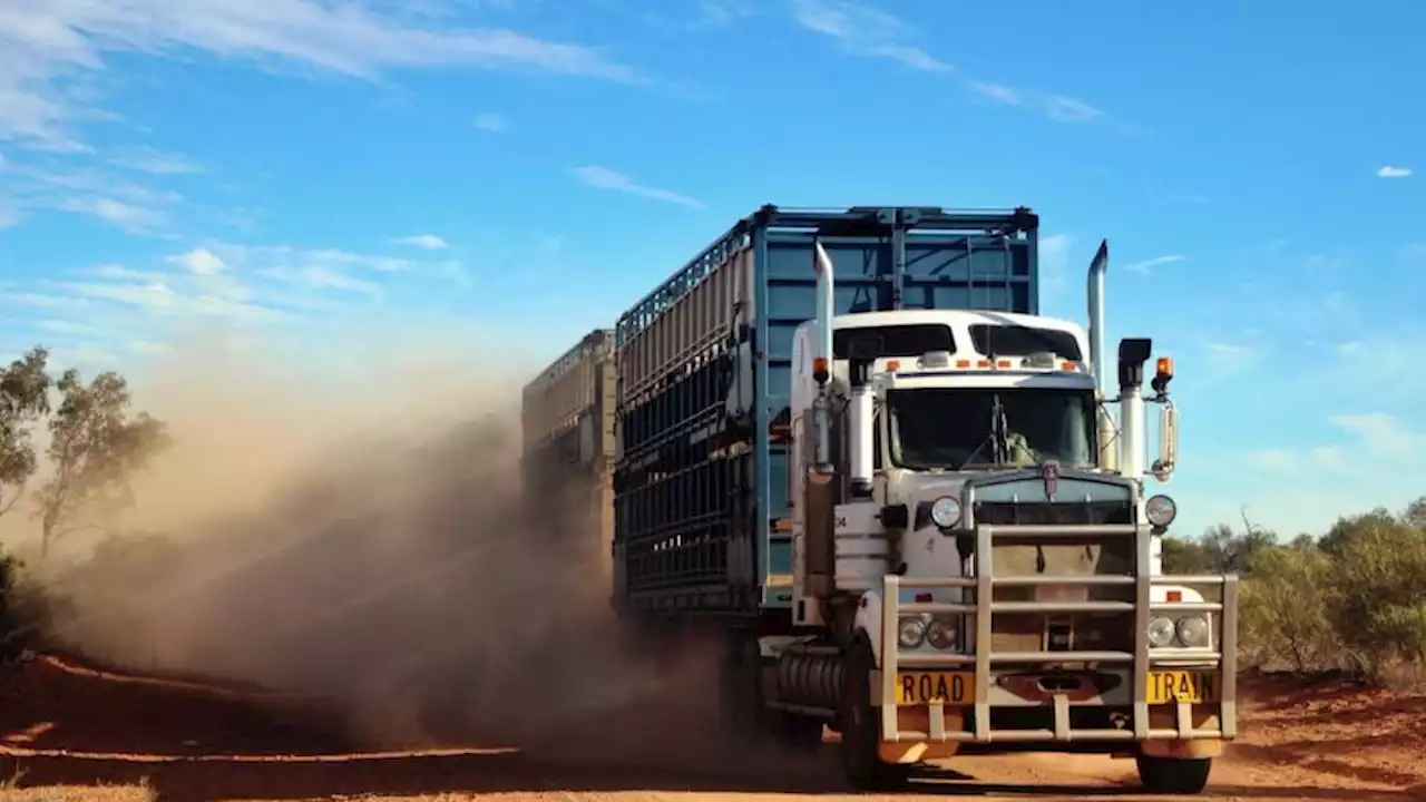 Road trips through outback Australia are big bucket list items, but unsealed roads can cause havoc