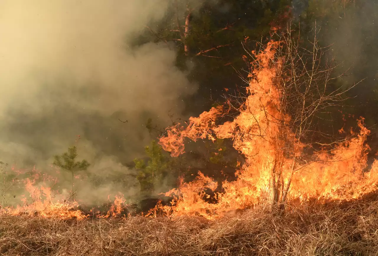 Cinq massifs fermés ce mercredi en raison du risque d'incendie très élevé dans le Var