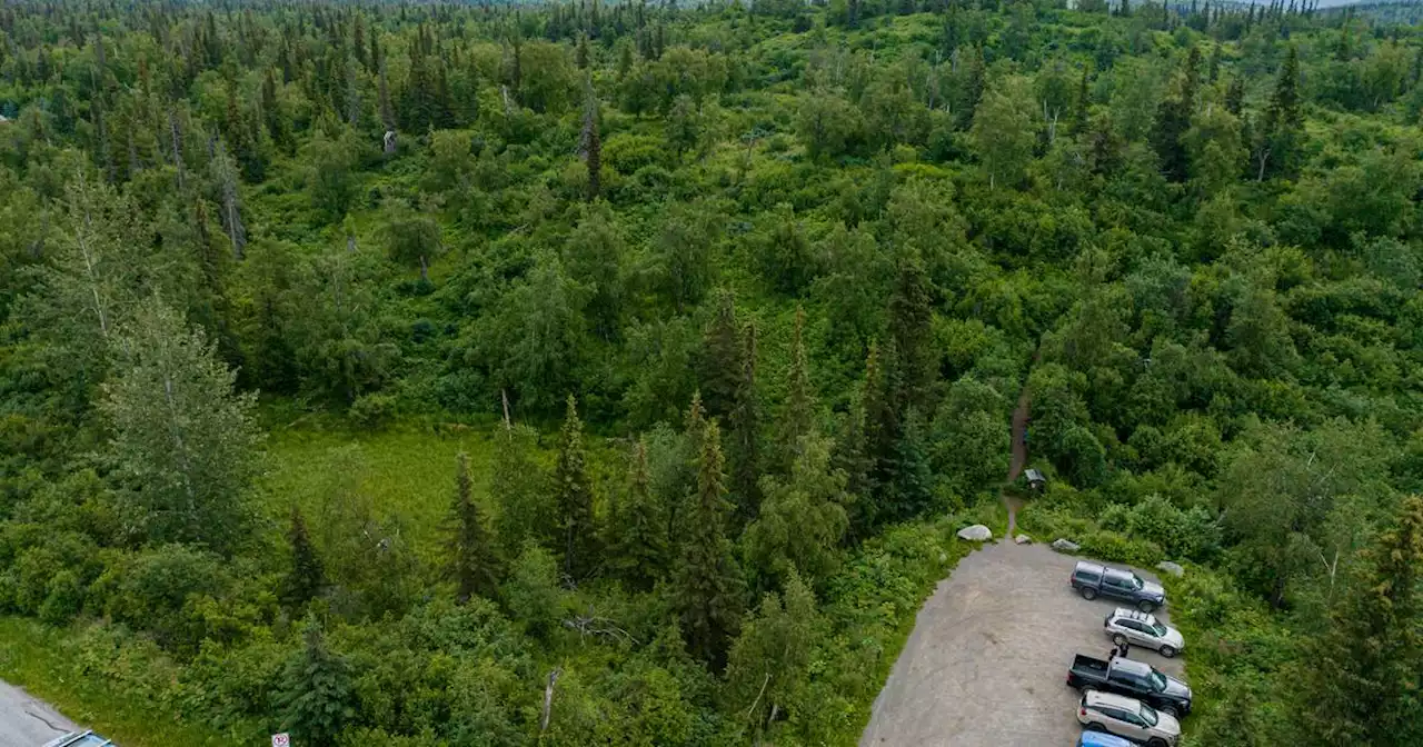 Man arrested after several people report being assaulted, threatened on East Anchorage trails