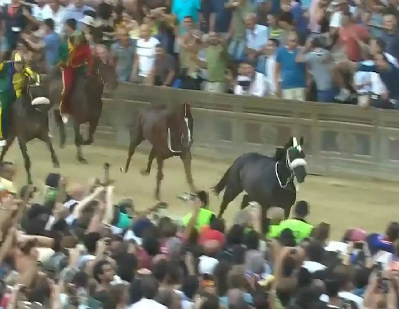 Zio Frac vince il Palio di Siena 16 agosto 2023, 'chi è' il cavallo scosso dell'Oca